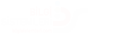 Bilgi Sistemleri Logo